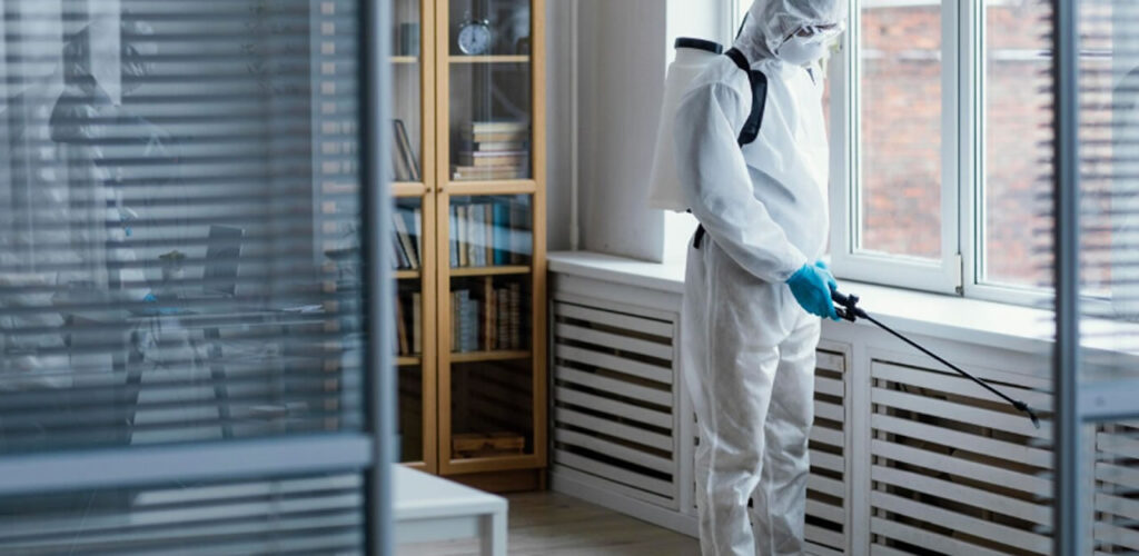 Quanto custa para dedetizar um apartamento? 1 dedetizar um apartamento