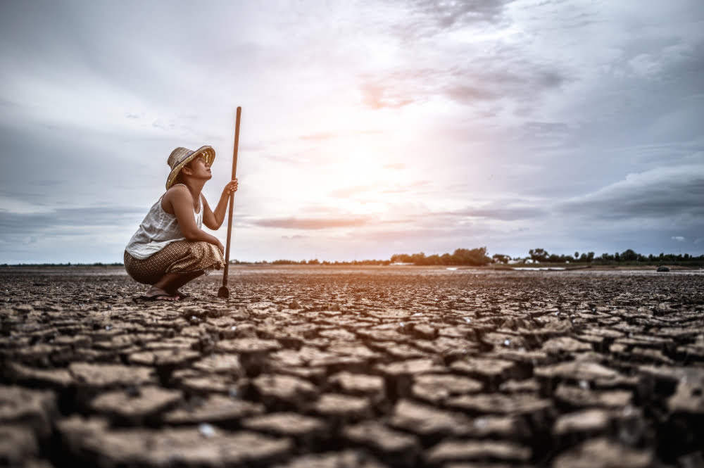 O que é solo arenoso? Características e Dicas 3 woman sat his hand caught siem dry soil looked sky