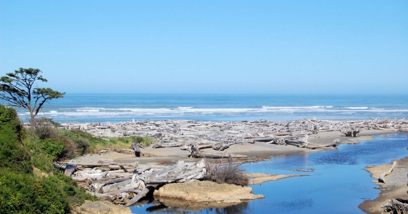 Paisagem costeira do Parque Nacional Olímpico