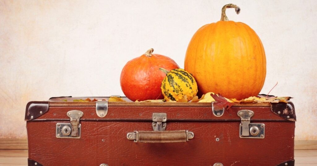 Dicas de previsões de viagens para o Dia de Ação de Graças e o que evitar durante os feriados de 2022 15 Vintage suitcase and pumpkins