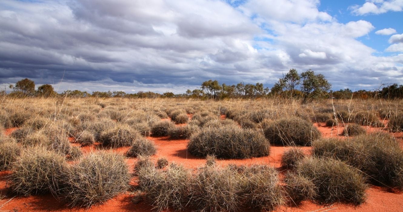 É por isso que o Great Victoria Desert da Austrália é conhecido (além de seu incrível ecossistema) 1 grande deserto de vitória na austrália