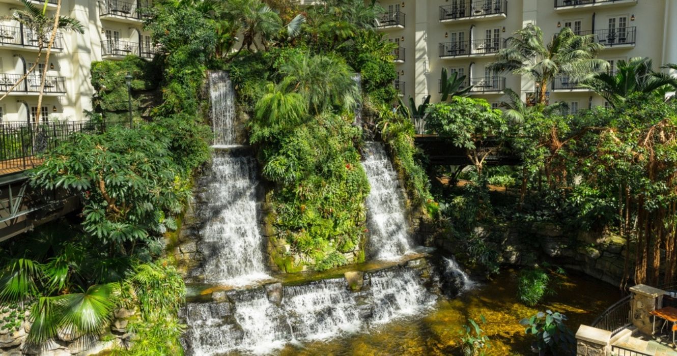 Este hotel da Flórida é o lar de uma exposição de jacaré ao vivo 1 a cachoeira gaylord palms resort na flórida