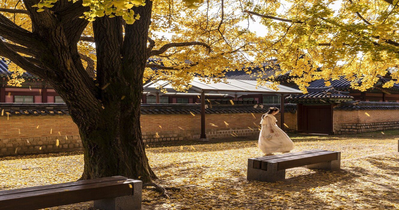 Explorando a realeza de Joseon: um guia para os palácios de Seul 1 Palácio Gyeongbokgung