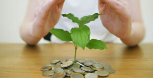 consultor de investimentos
