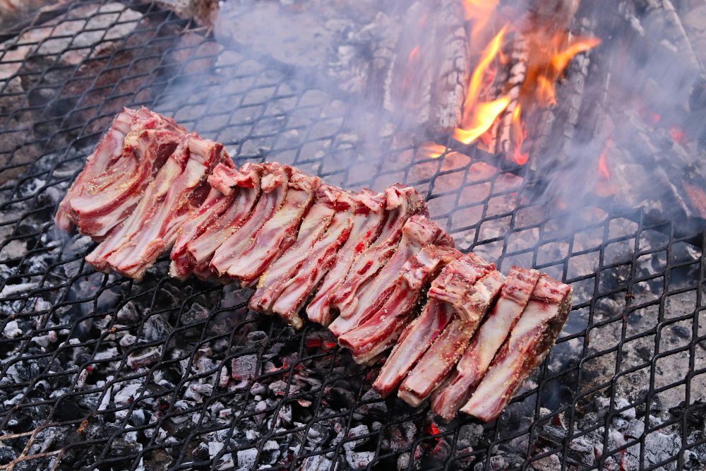 Quais são os tipos de carne para churrasco mais indicados? 1 tipos de carne para churrasco