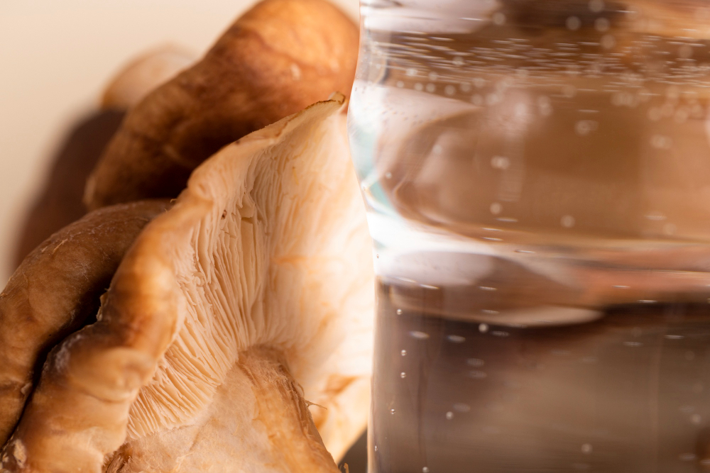 Qual a diferença entre tintura e extrato de cogumelos? 1 extrato de cogumelos